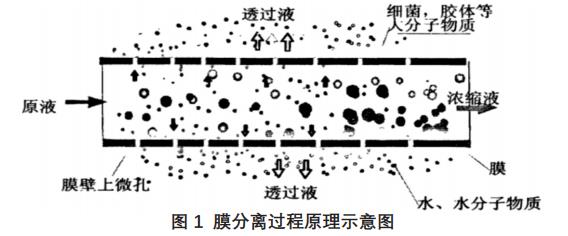 電鍍廢水處理技術(shù)